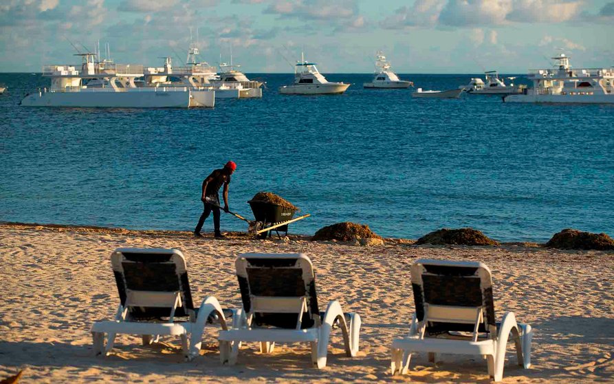 STO01. PUNTA CANA (REPÚBLICA DOMINICANA), 19/07/2020.- Un empleado de un hotel recoge sargazo en la orilla de la playa, este domingo en Punta Cana (República Dominicana). Pese a la apertura del turismo el pasado 1 de julio, aún es mínima la afluencia de vacacionistas en esta zona del país. En la República Dominicana se han reportado 52,855 casos confirmados de coronavirus y 981 fallecidos. EFE/ Orlando Barría
