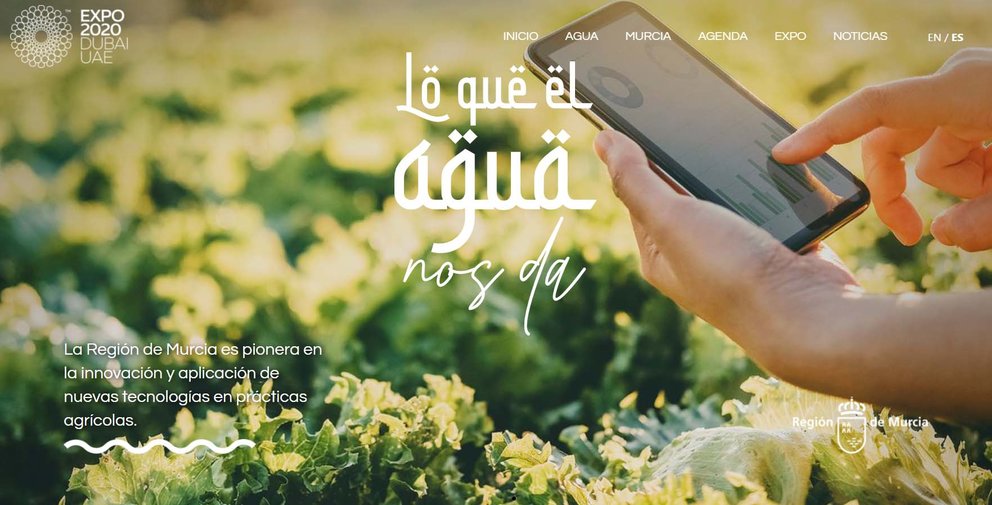 Murcia Dubai web