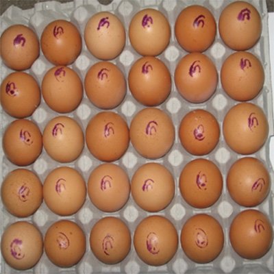 Varias partidas de huevos han sido retirados del mercado por mal estado.