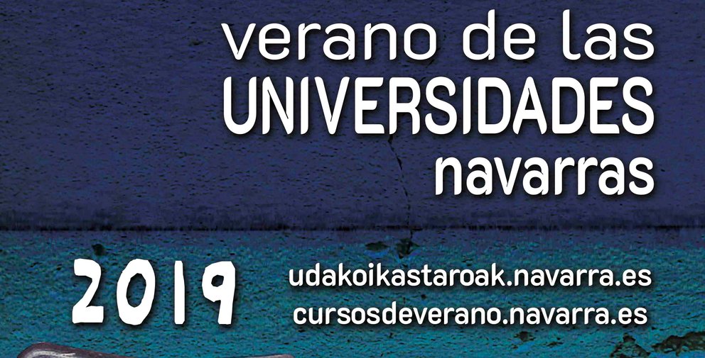 Navarra Cursos web