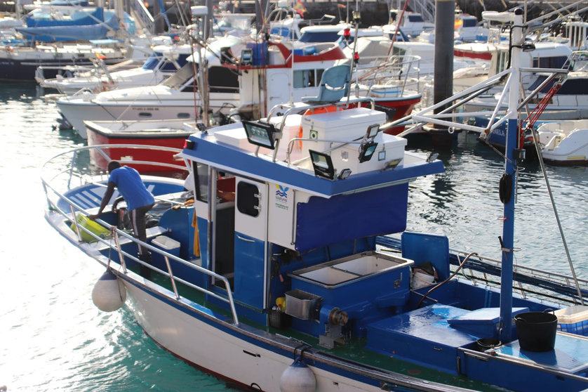 Canarias pesca web