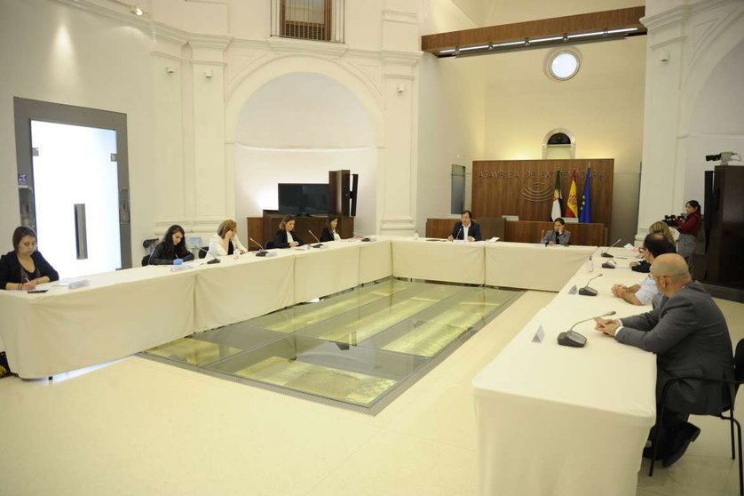 Extremadura grupos políticos web