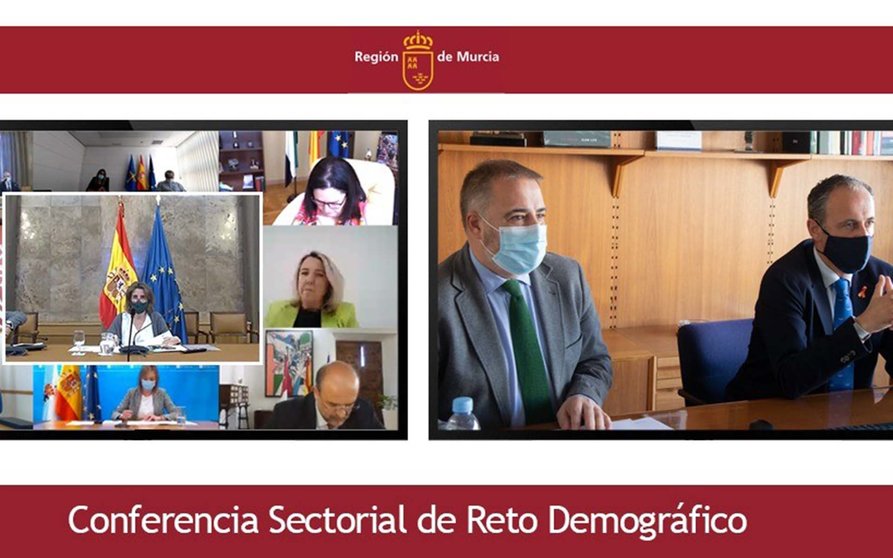 Murcia Reto Demográfico web
