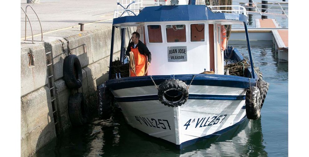 Galicia pesca web